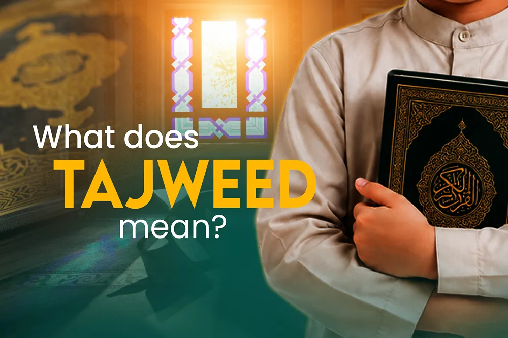 learn quran with tajweed